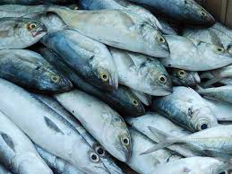Fatty fish, such as salmon and mackerel