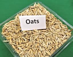 Oats