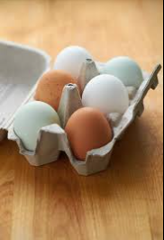 Eggs: The Whole Protein Source