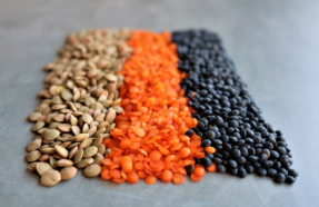 The Best Plant-Based, High-Protein Food for Beginners in the Gym: Lentils