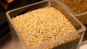 The Mineral-Rich Seed: Sesame Seeds