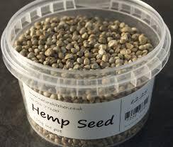 The Plant Protein Hero: Hemp Seeds