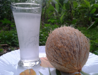 7. Coconut Water: Hydration from Nature for Clear and Bright Skin