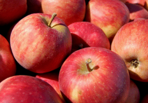 Apples