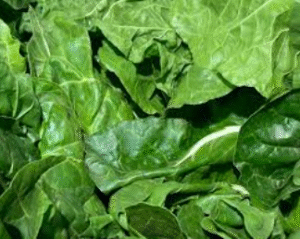 spinach