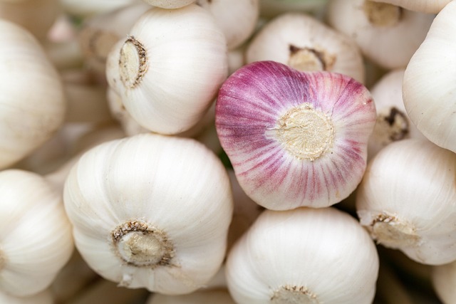 Garlic: The Winter Essential That Boosts Immunity