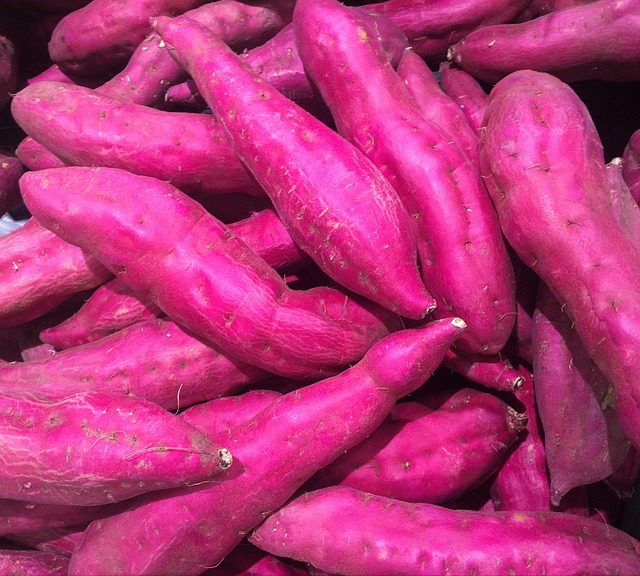 The Sweet Potato